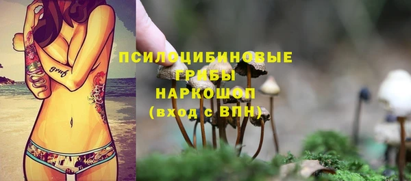 прущие крисы Богородицк