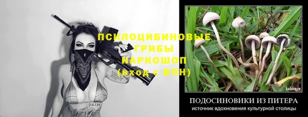 прущие крисы Богородицк